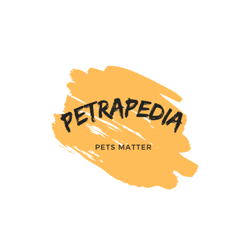 PETRAPEDIA LOGO