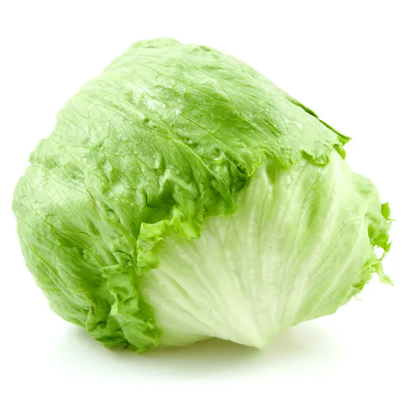 Iceberg lettuce on a white back ground