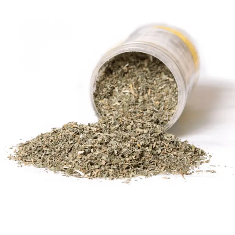 Can Cats Eat Catnip Petrapedia can-cats-eat-catnip-petrapedia