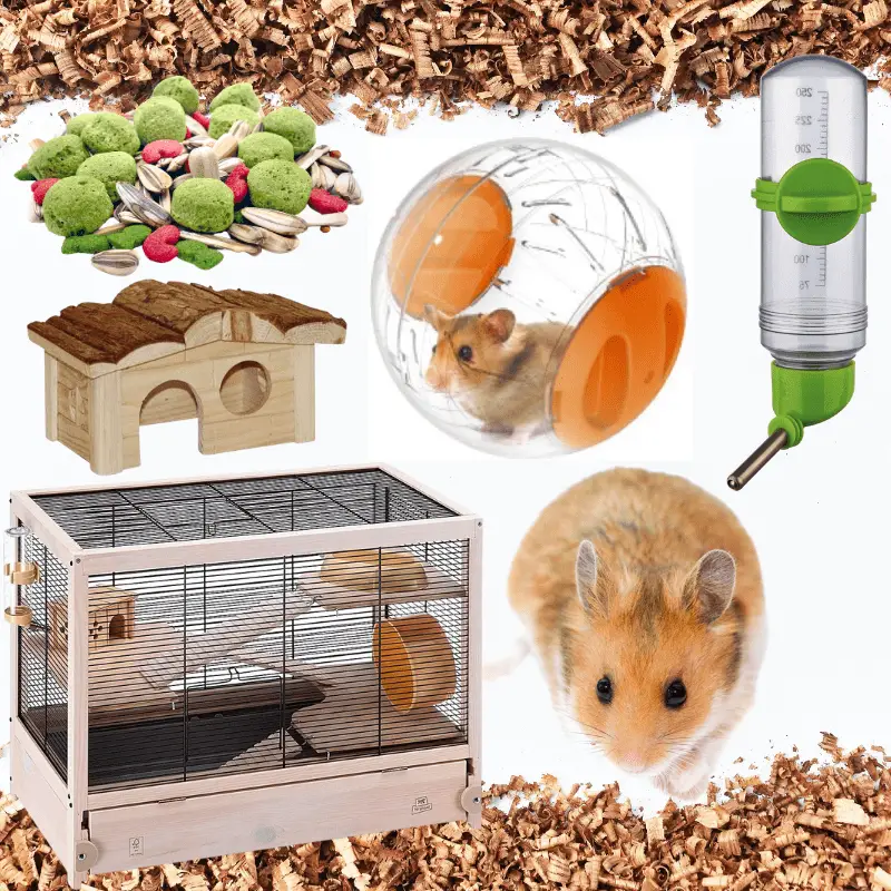hamster essentials, water bottle, cage, house, toys, food