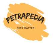 Petrapedia