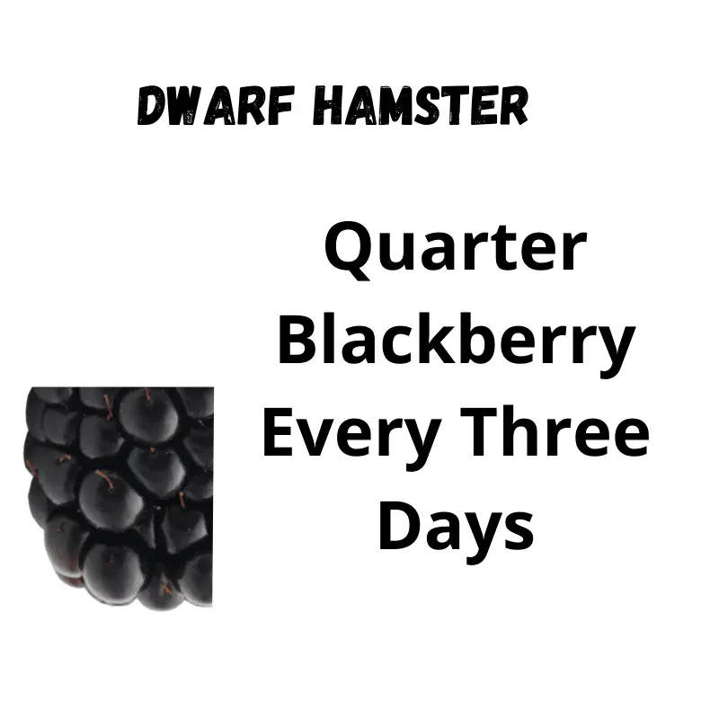 Image of a quarter of a blackberry and text Quarter Blackberry Every Three Days